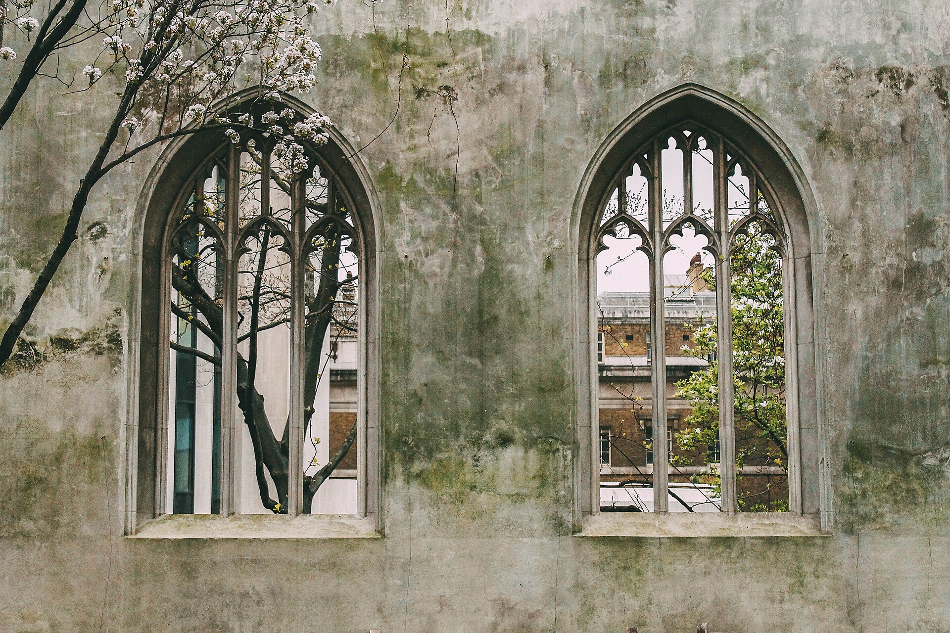 The ruined arches and planted garden at St Dunstan in the East